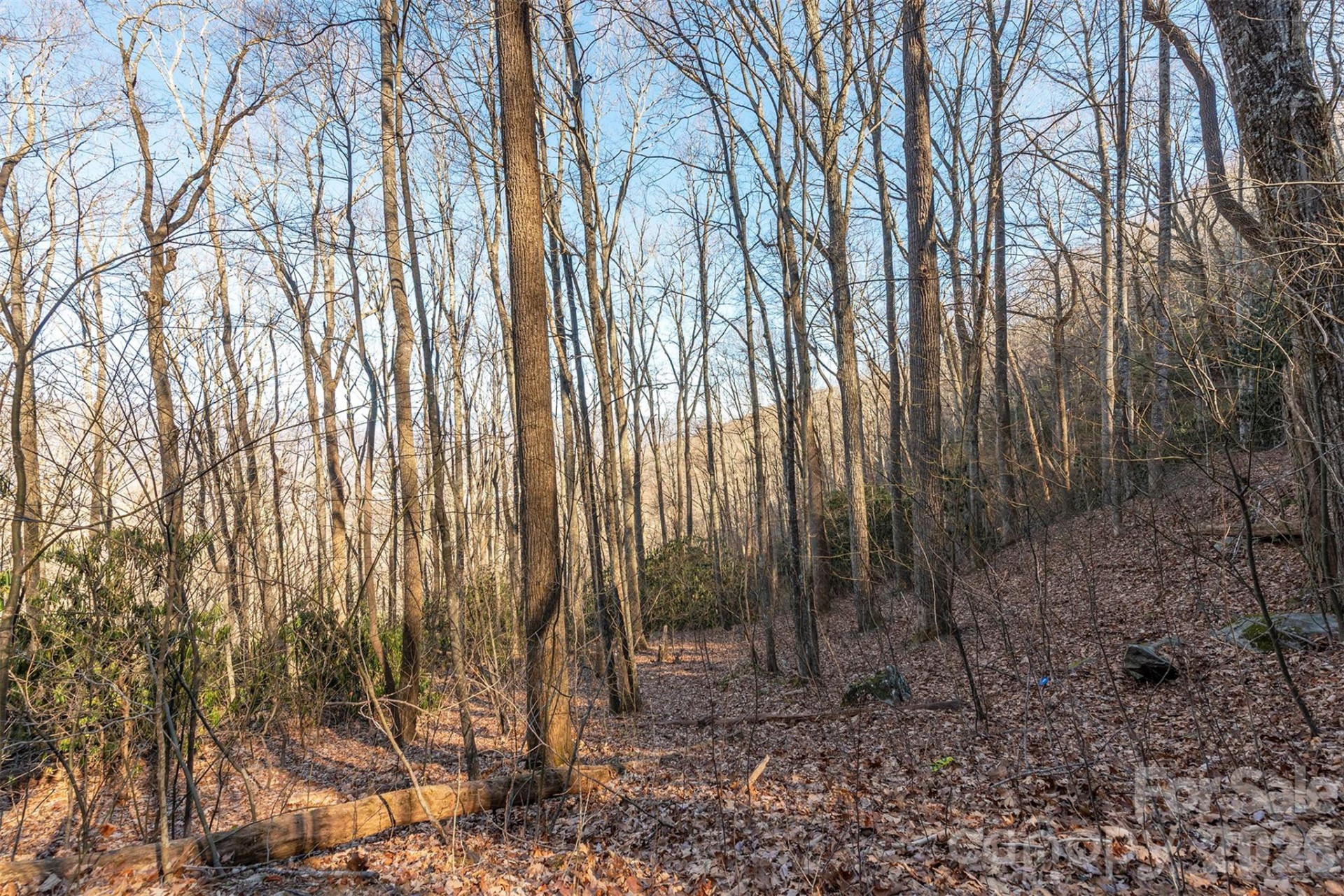 00 Wildflower Cove Road #18 - Photo 32