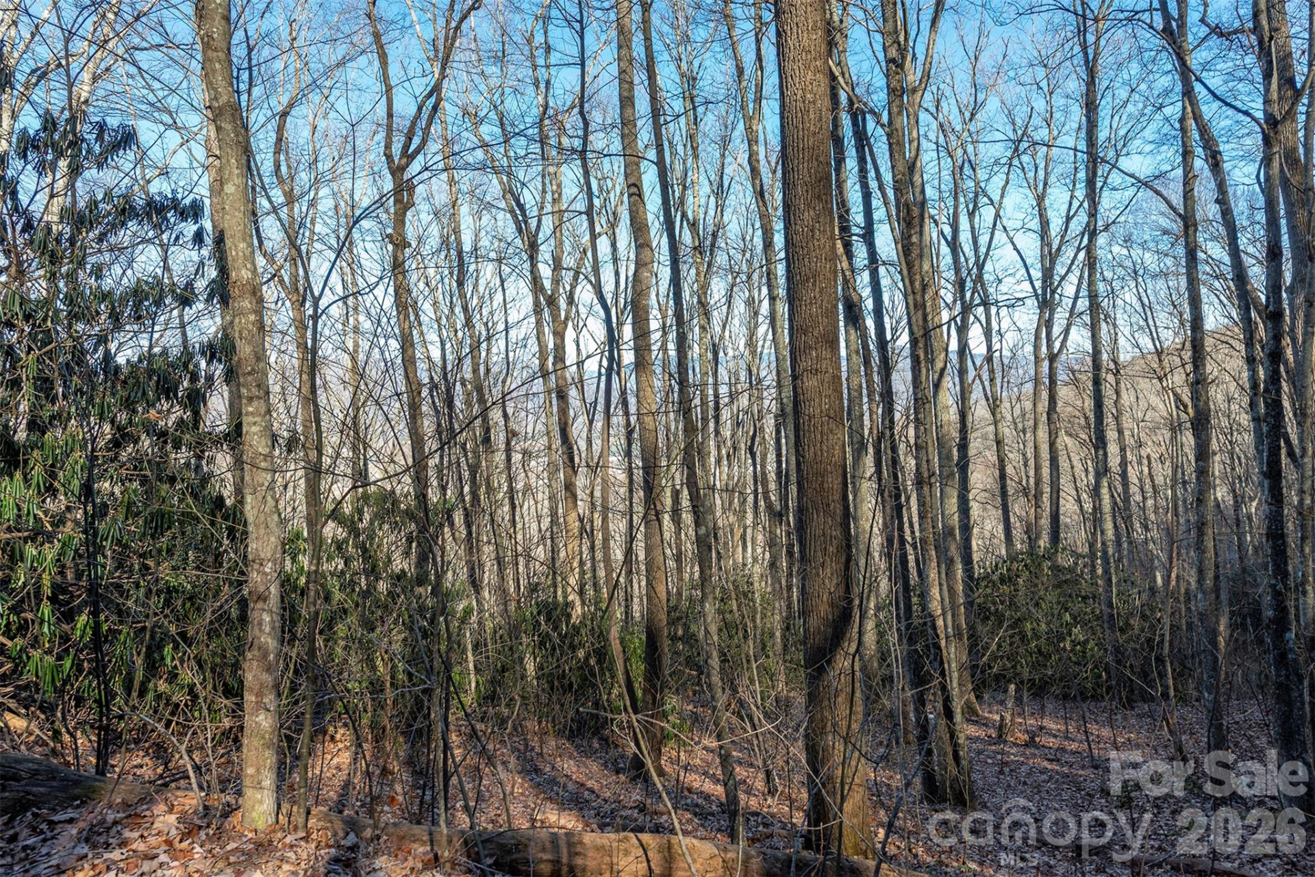 00 Wildflower Cove Road #18 - Photo 33