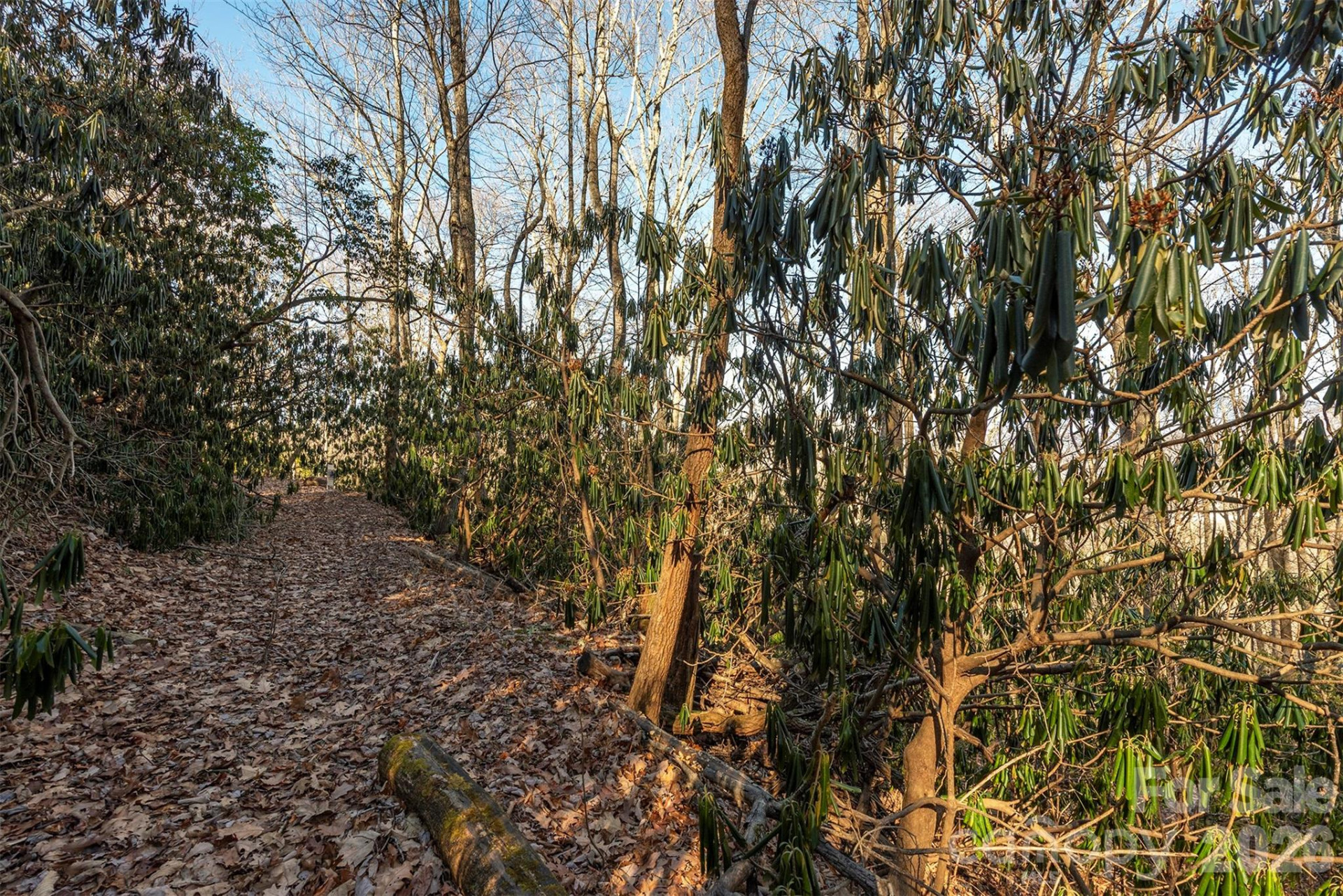 00 Wildflower Cove Road #18 - Photo 34