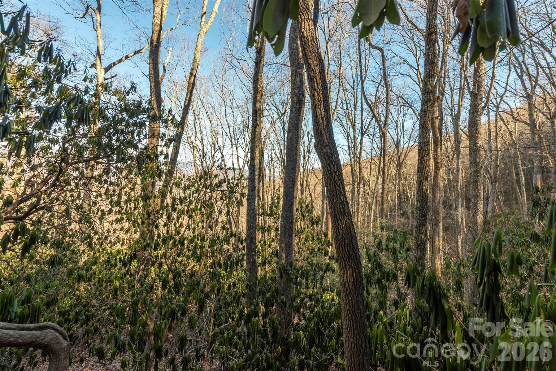 00 Wildflower Cove Road #18 - Photo 35