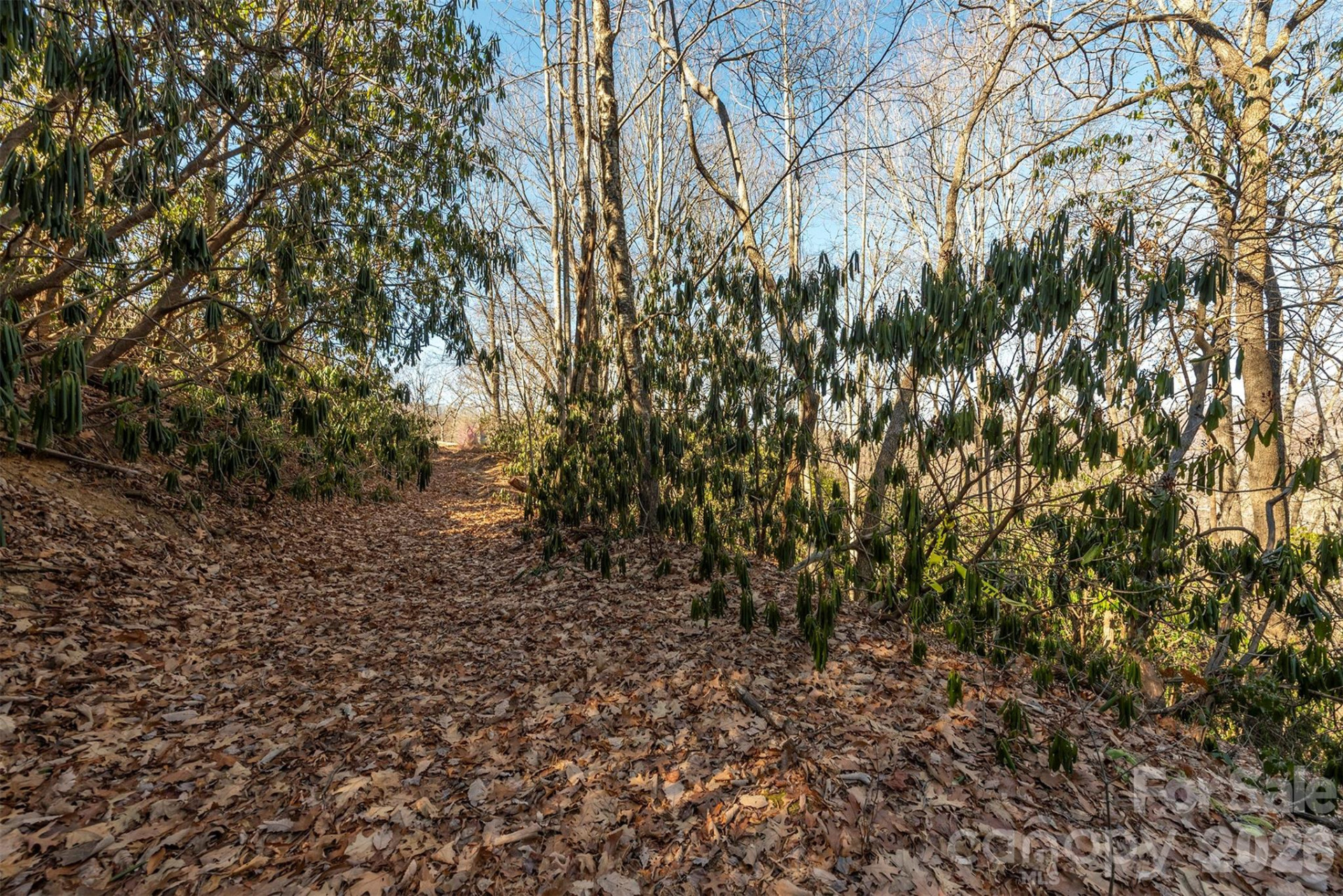 00 Wildflower Cove Road #18 - Photo 36