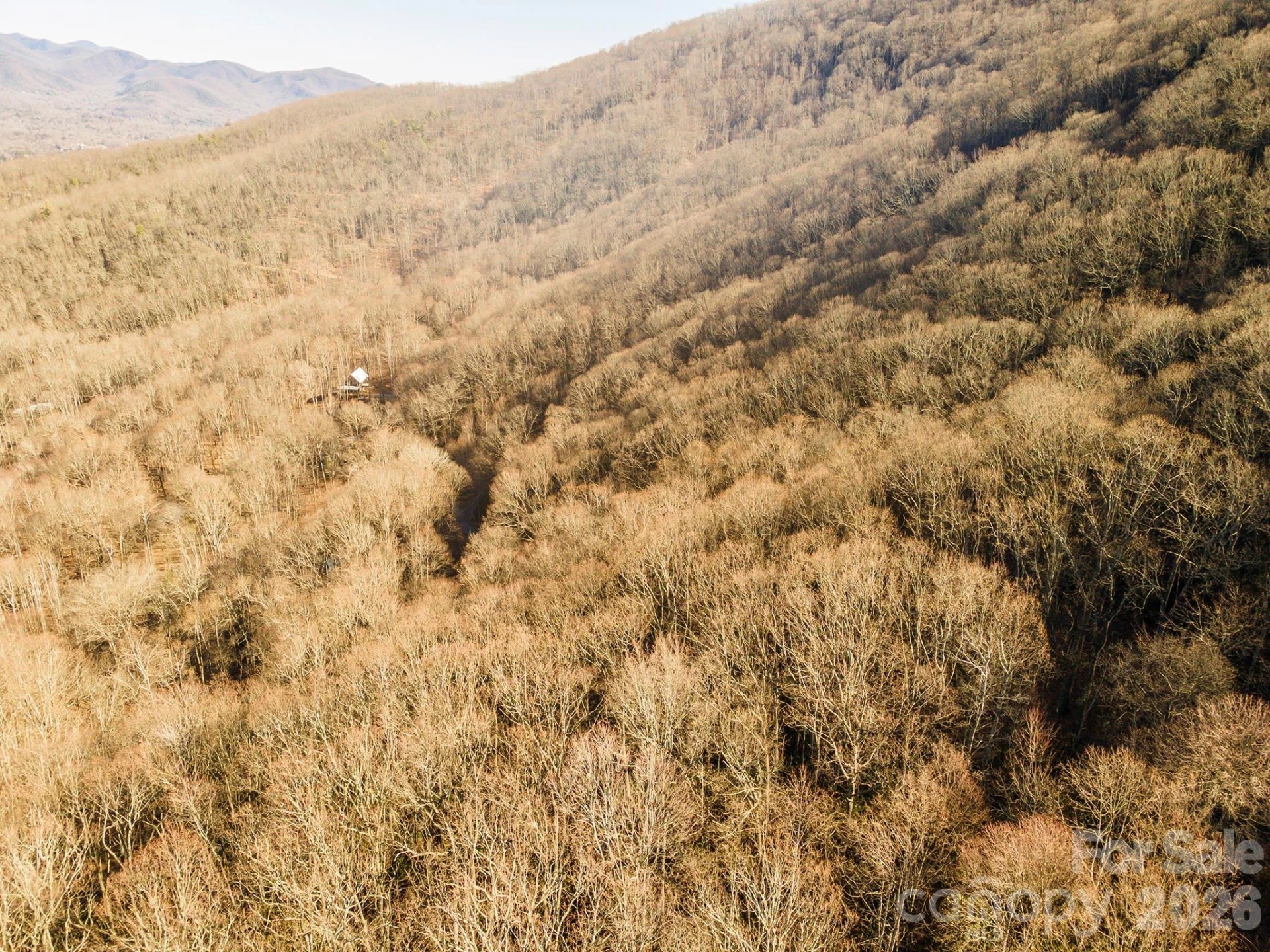 00 Wildflower Cove Road #18 - Photo 5