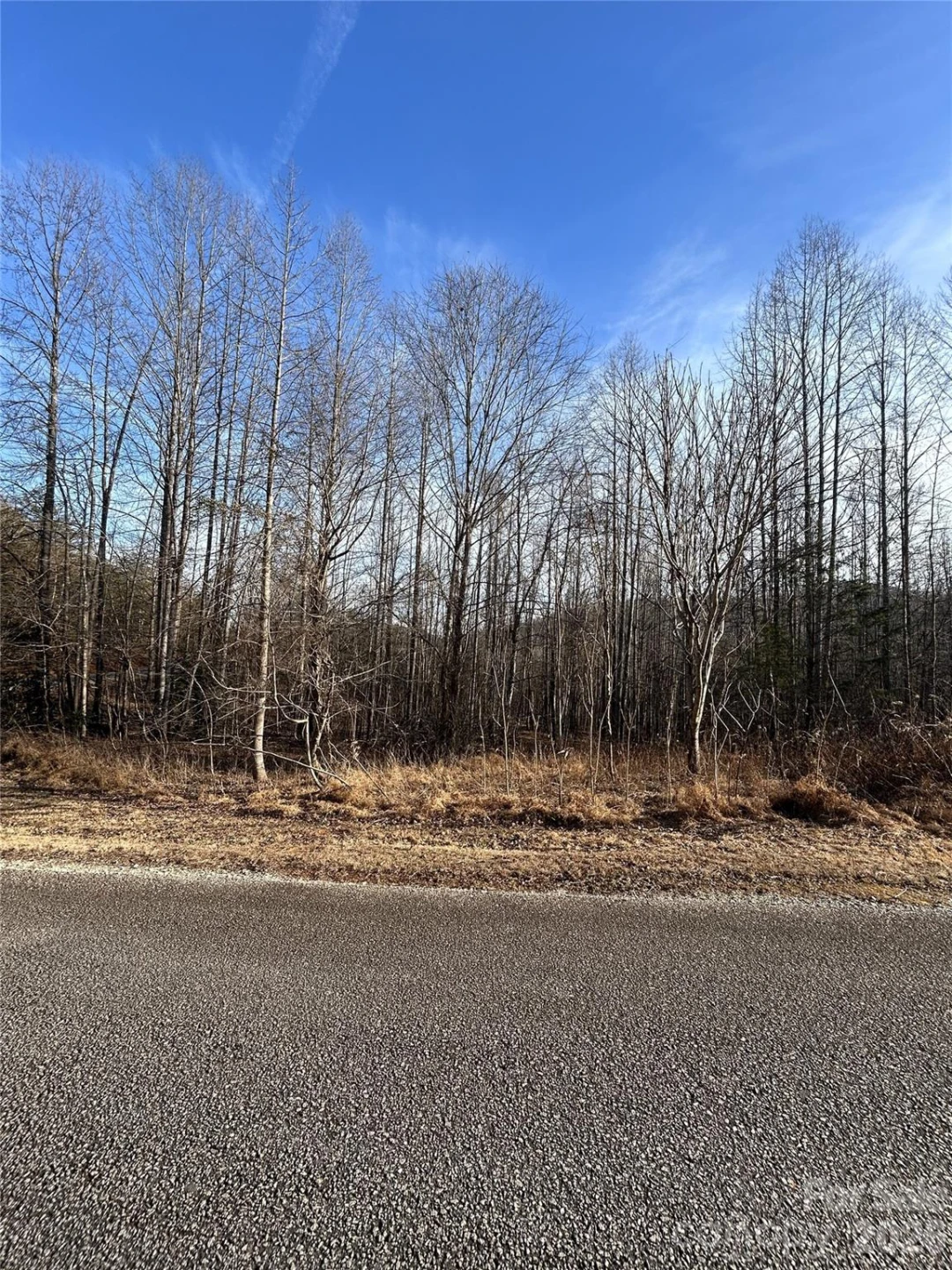 Lot 24 Double Eagle Drive #24 - Photo 14