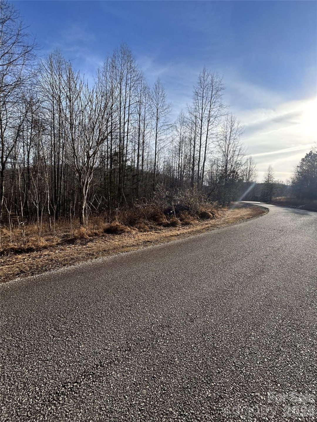 Lot 24 Double Eagle Drive #24 - Photo 15