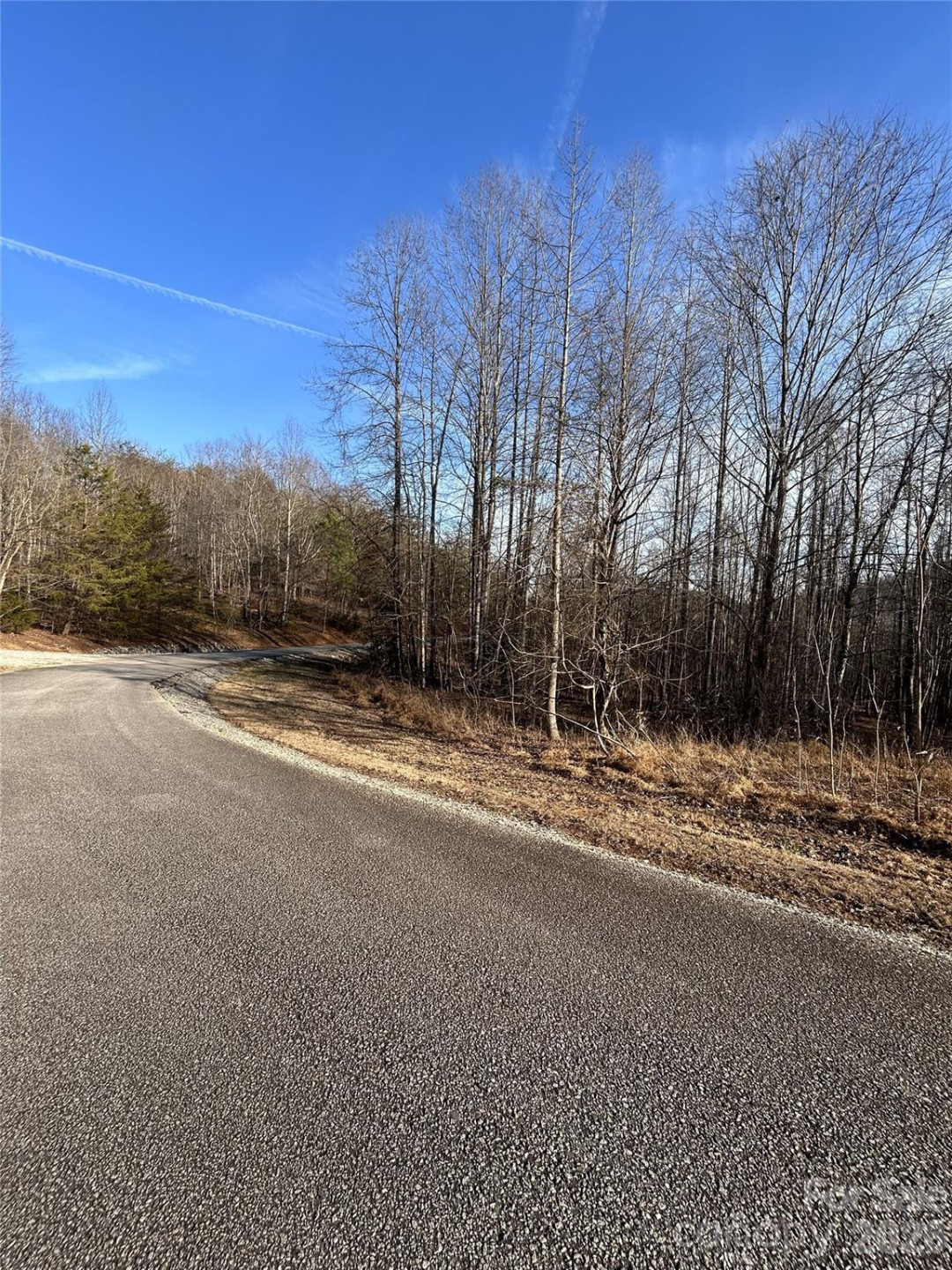 Lot 24 Double Eagle Drive #24 - Photo 16