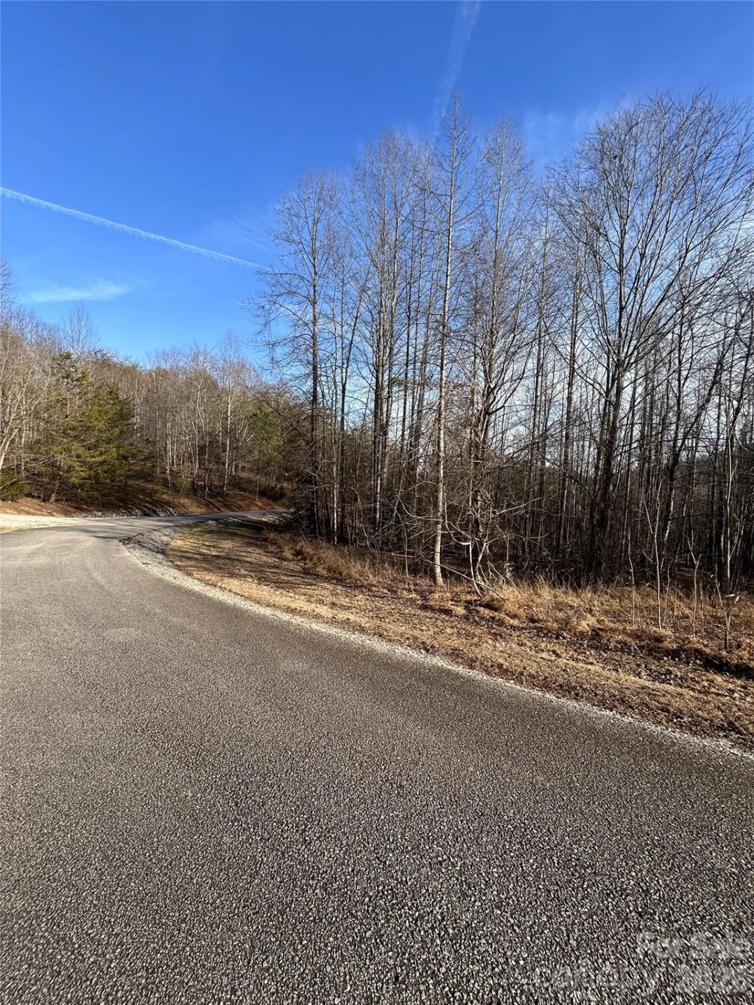 Lot 24 Double Eagle Drive #24 - Photo 16