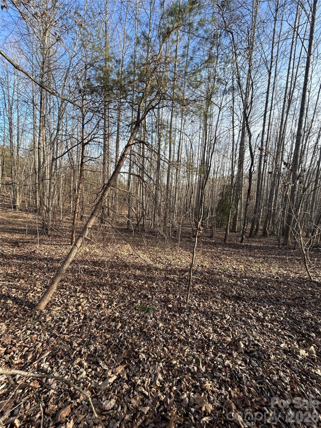 Lot 24 Double Eagle Drive #24 - Photo 18