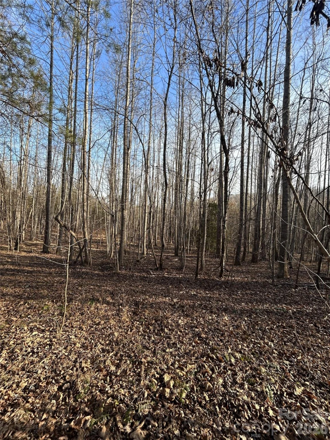 Lot 24 Double Eagle Drive #24 - Photo 19