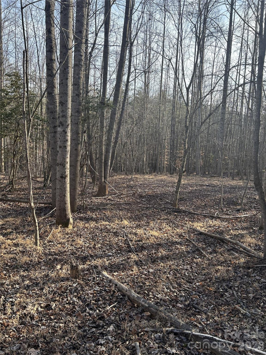 Lot 24 Double Eagle Drive #24 - Photo 20