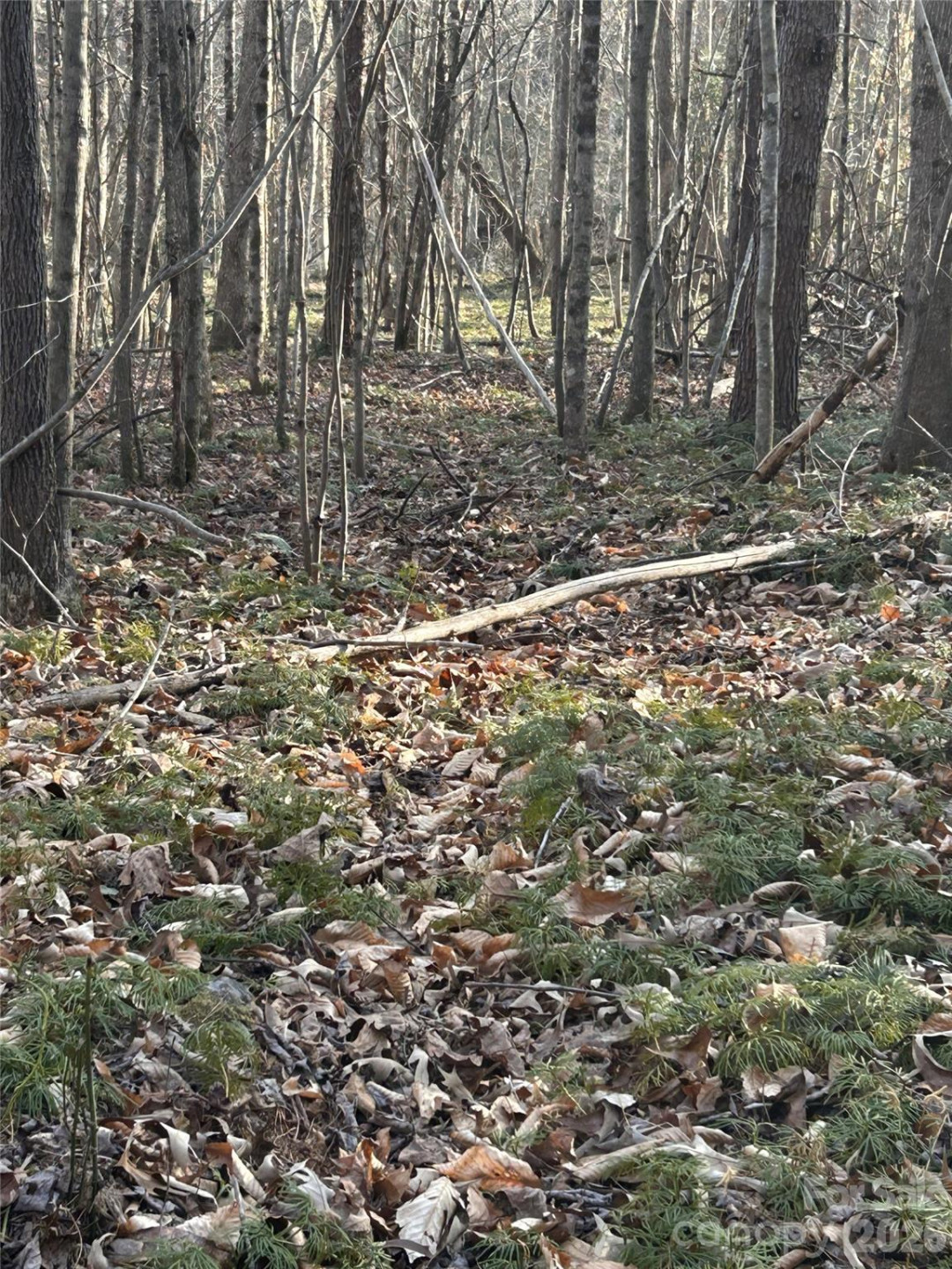 Lot 24 Double Eagle Drive #24 - Photo 21