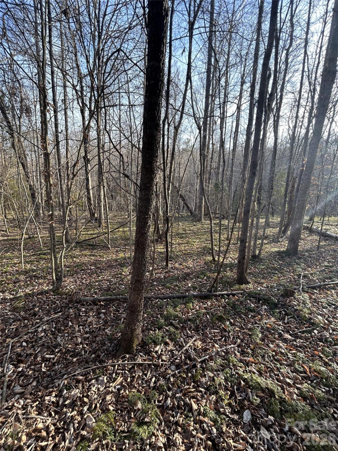 Lot 24 Double Eagle Drive #24 - Photo 22