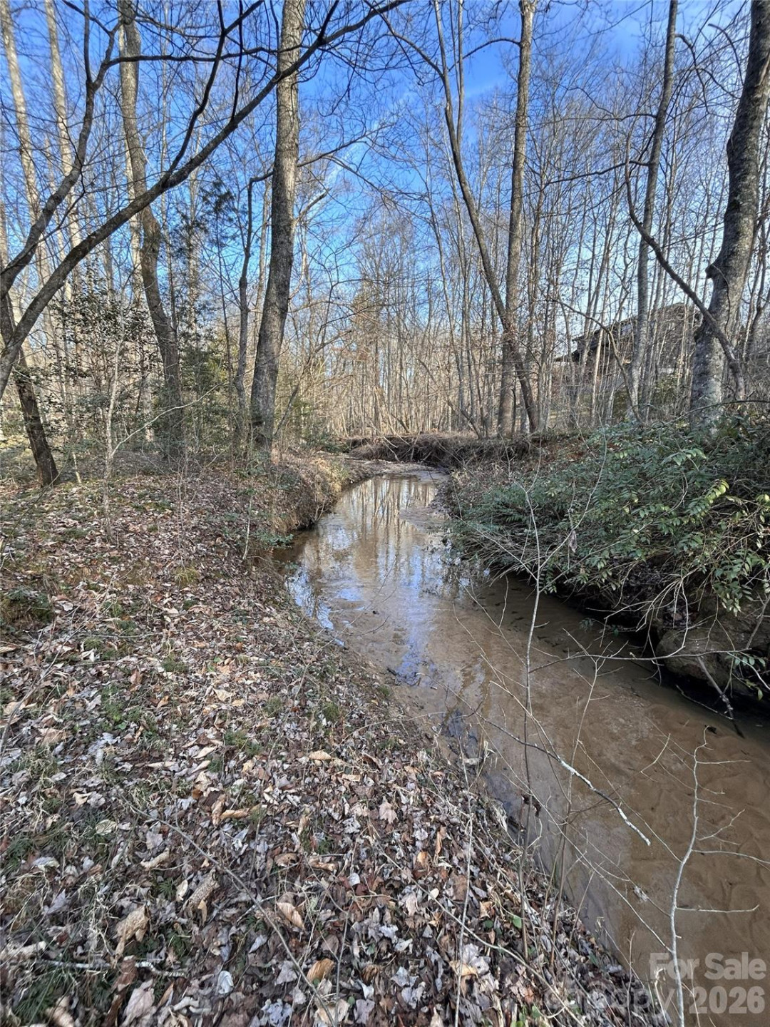 Lot 24 Double Eagle Drive #24 - Photo 24