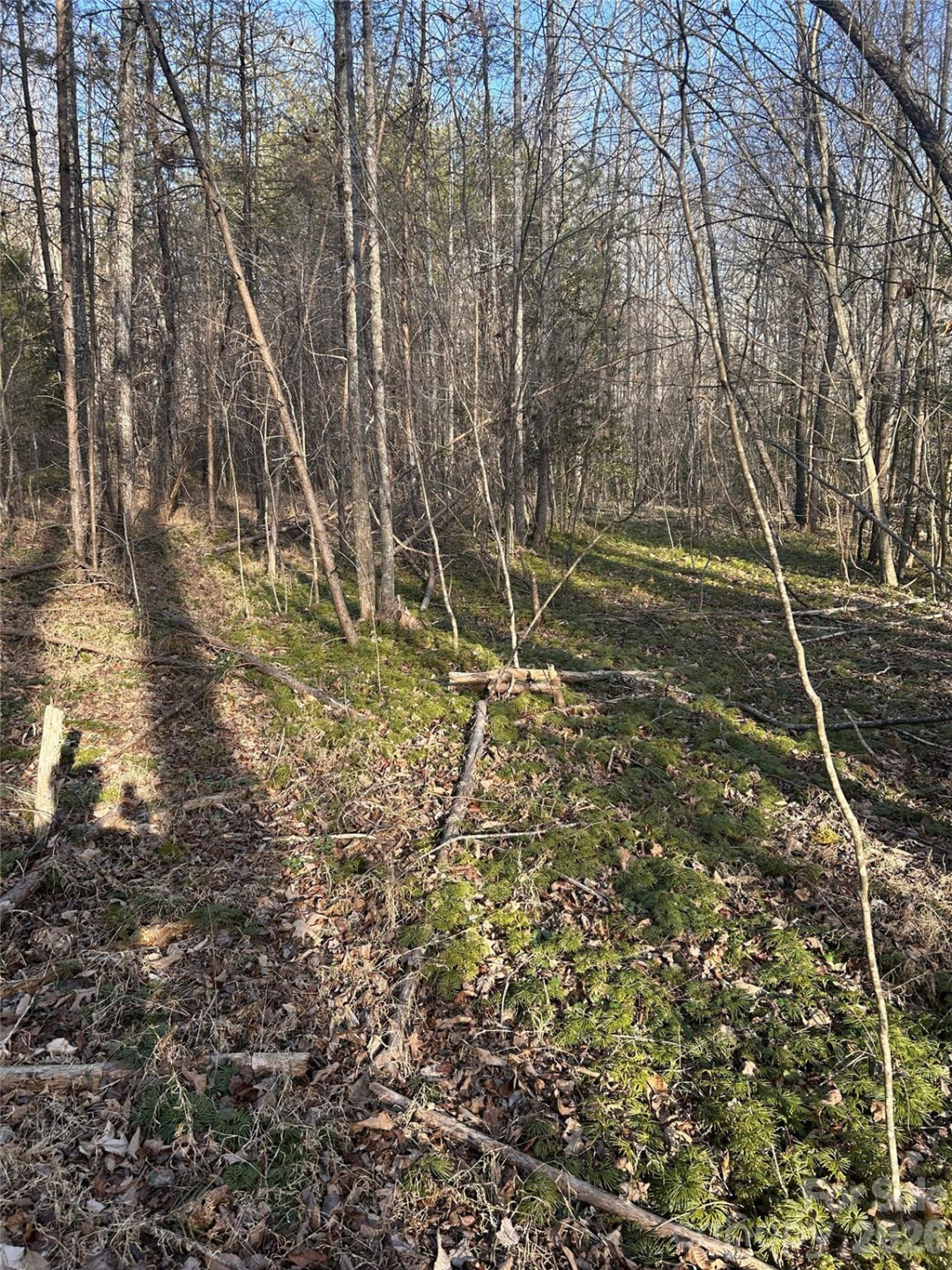 Lot 24 Double Eagle Drive #24 - Photo 25