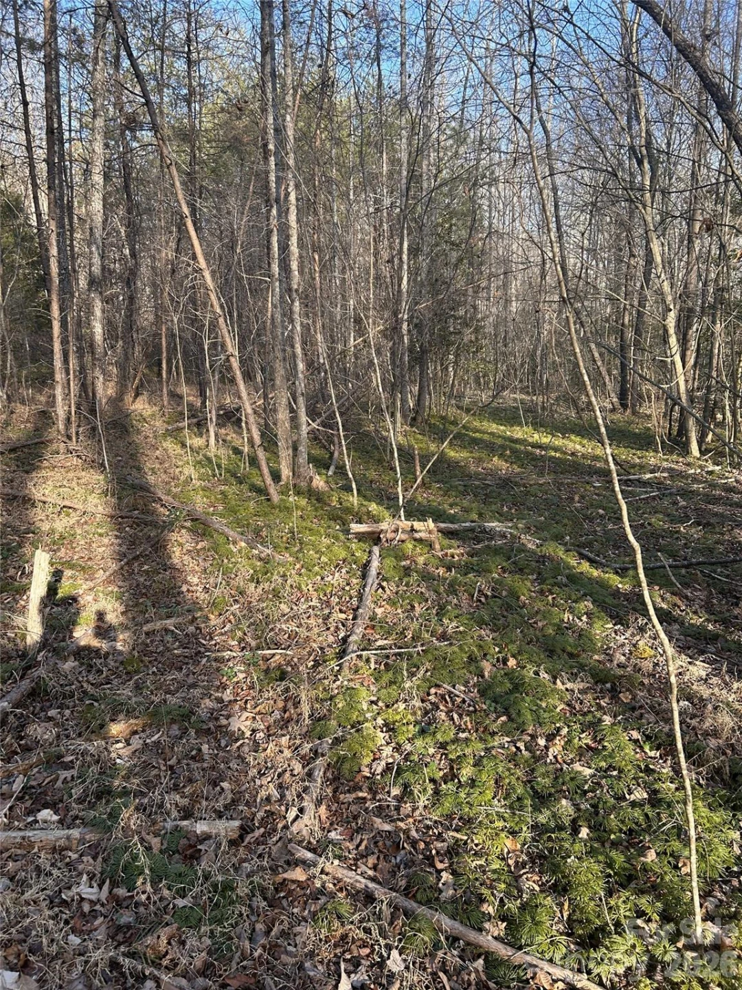 Lot 24 Double Eagle Drive #24 - Photo 25