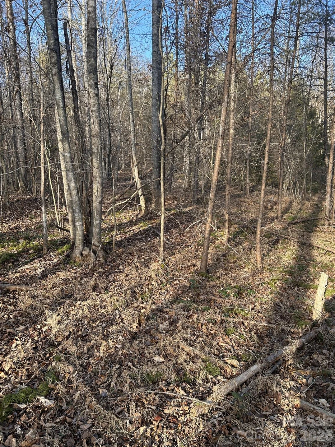 Lot 24 Double Eagle Drive #24 - Photo 26