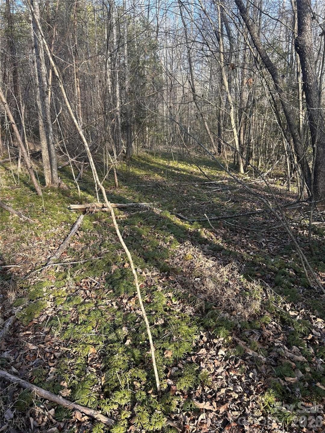 Lot 24 Double Eagle Drive #24 - Photo 27