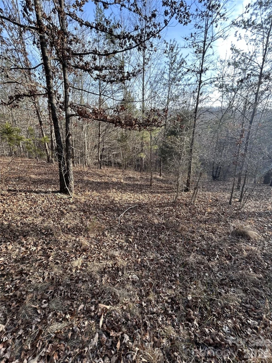Lot 24 Double Eagle Drive #24 - Photo 31