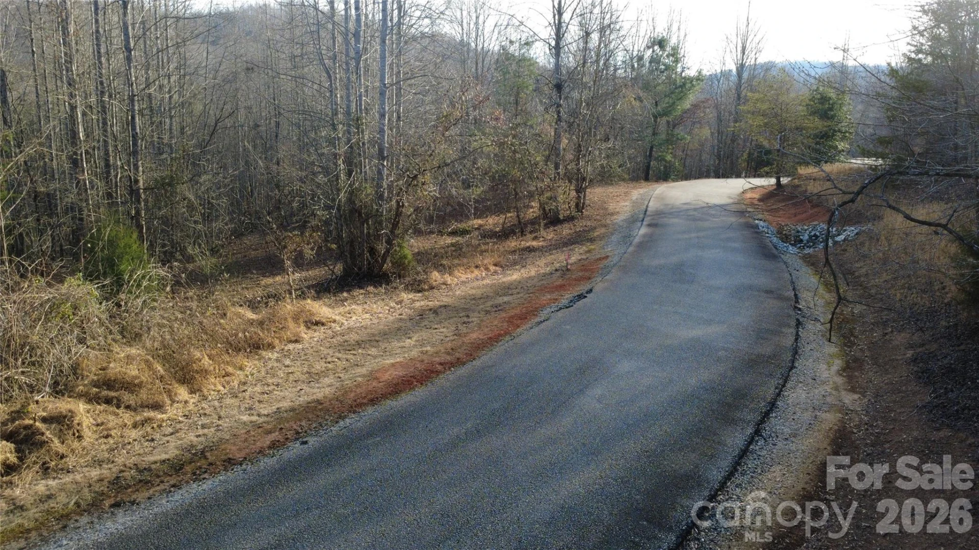Lot 24 Double Eagle Drive #24 - Photo 5