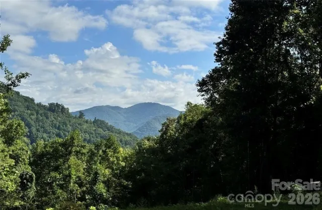 350 Scotts Trail