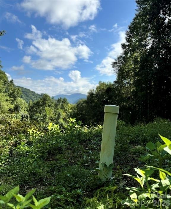 350 Scotts Trail - Photo 3