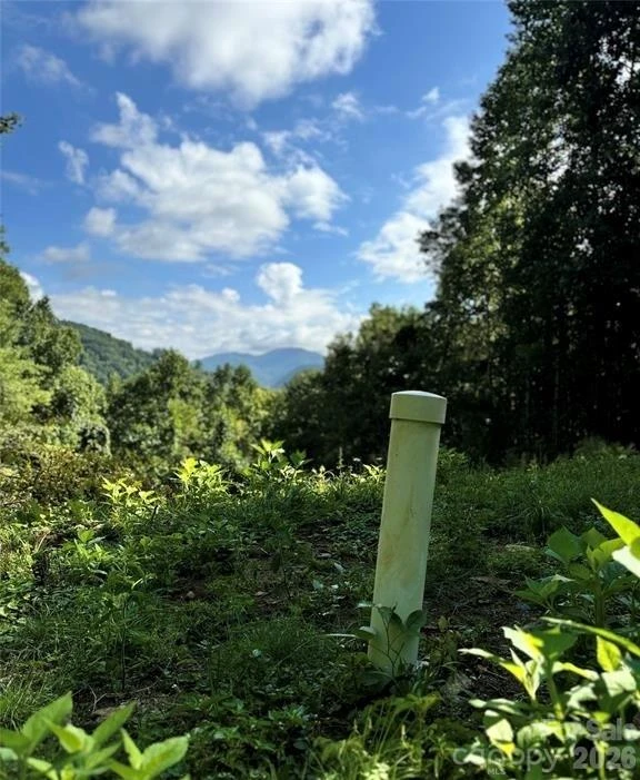 350 Scotts Trail - Photo 3