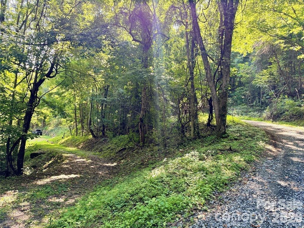 350 Scotts Trail - Photo 4