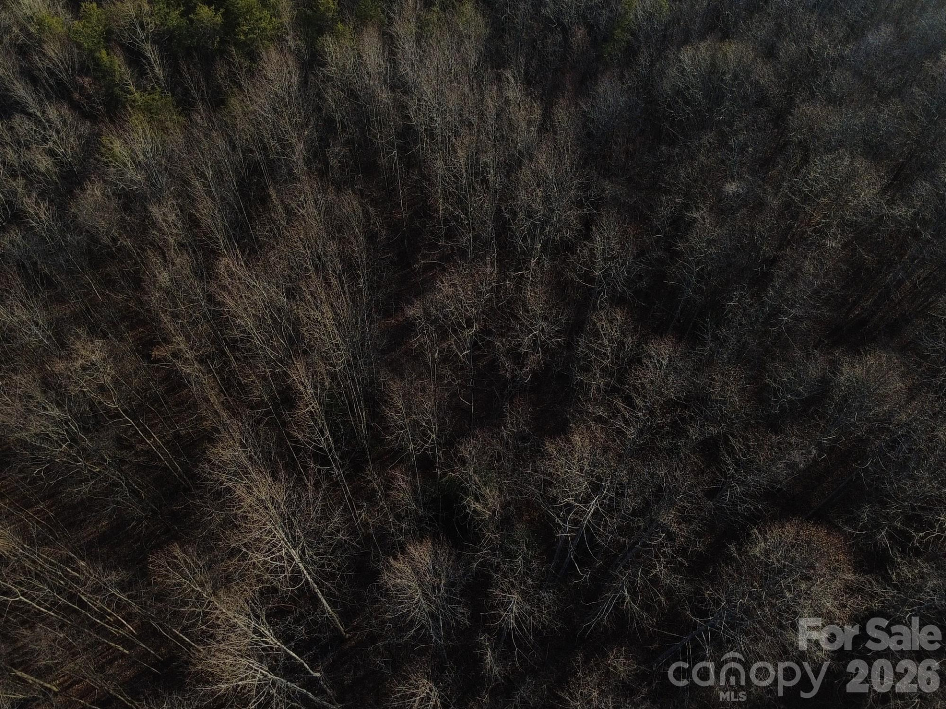 Lot 23 & 24 Double Eagle Drive #23 & 24 - Photo 17