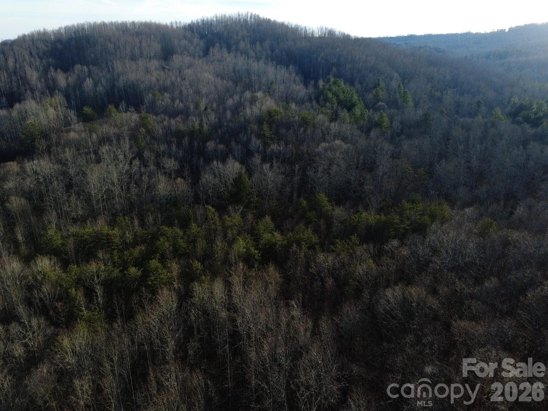Lot 23 & 24 Double Eagle Drive #23 & 24 - Photo 18