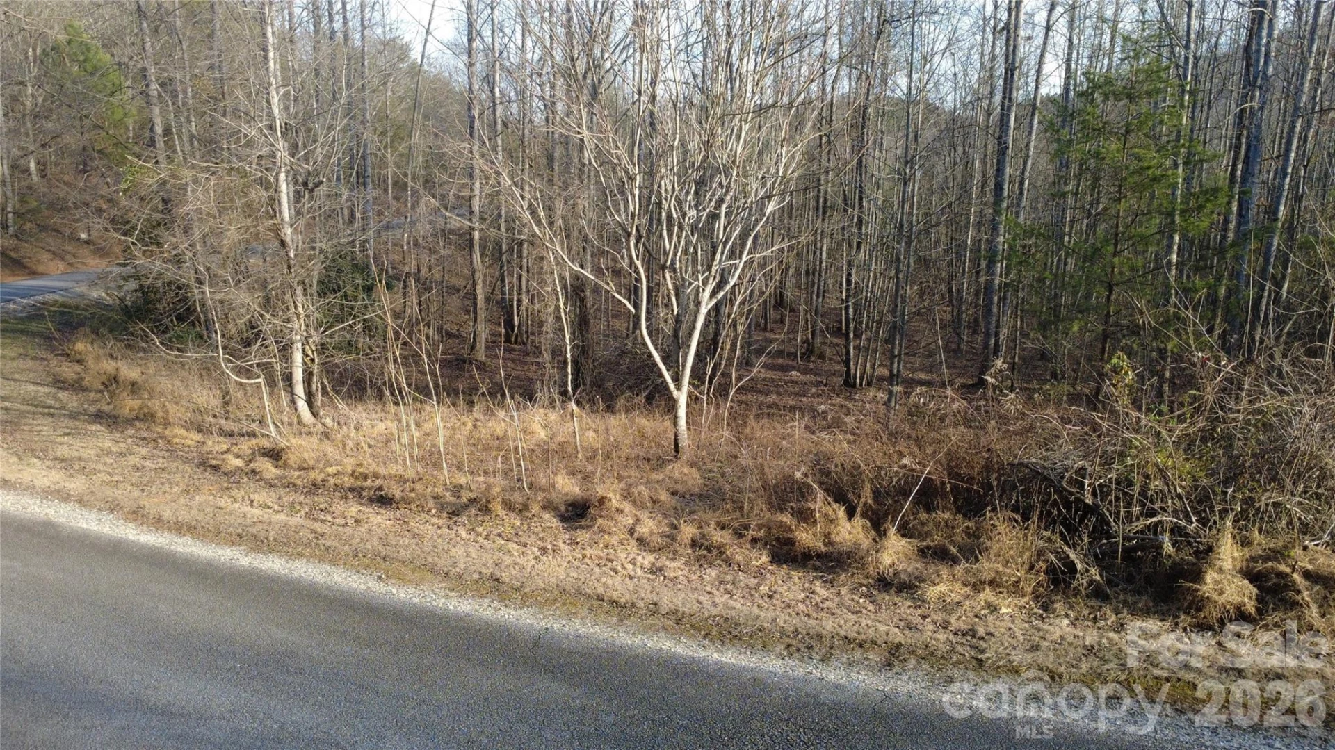 Lot 23 & 24 Double Eagle Drive #23 & 24 - Photo 19