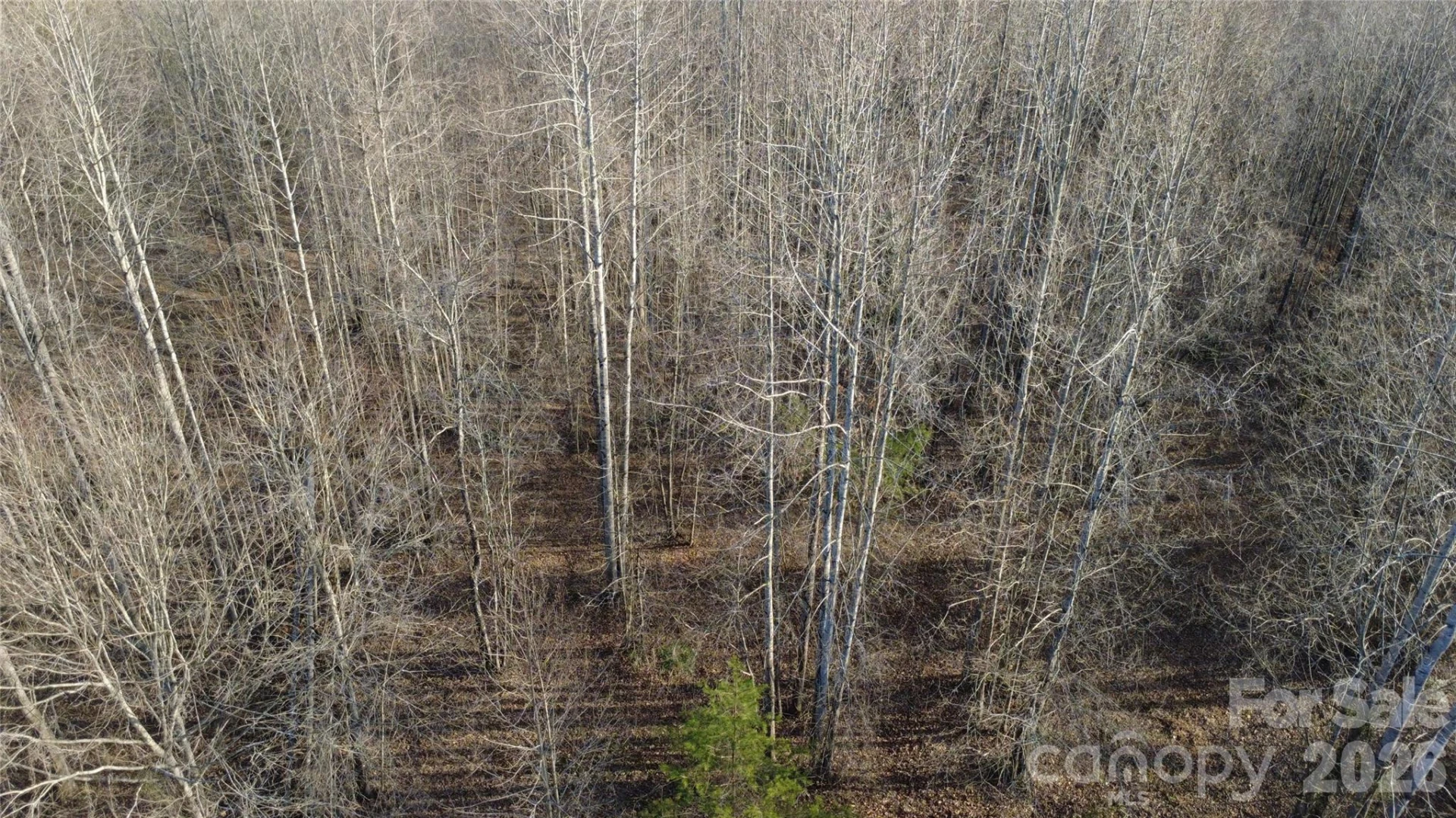Lot 23 & 24 Double Eagle Drive #23 & 24 - Photo 21