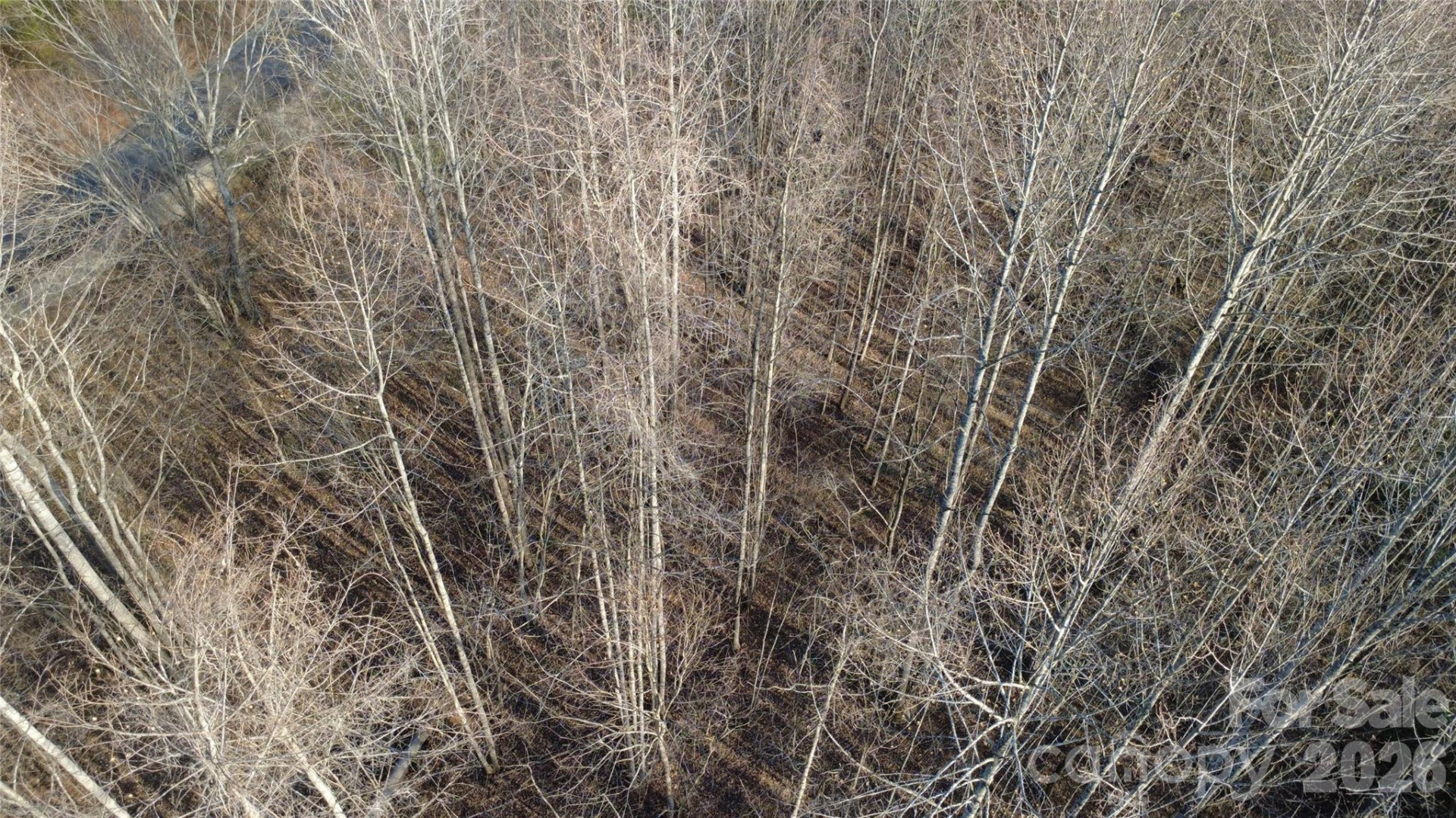 Lot 23 & 24 Double Eagle Drive #23 & 24 - Photo 22