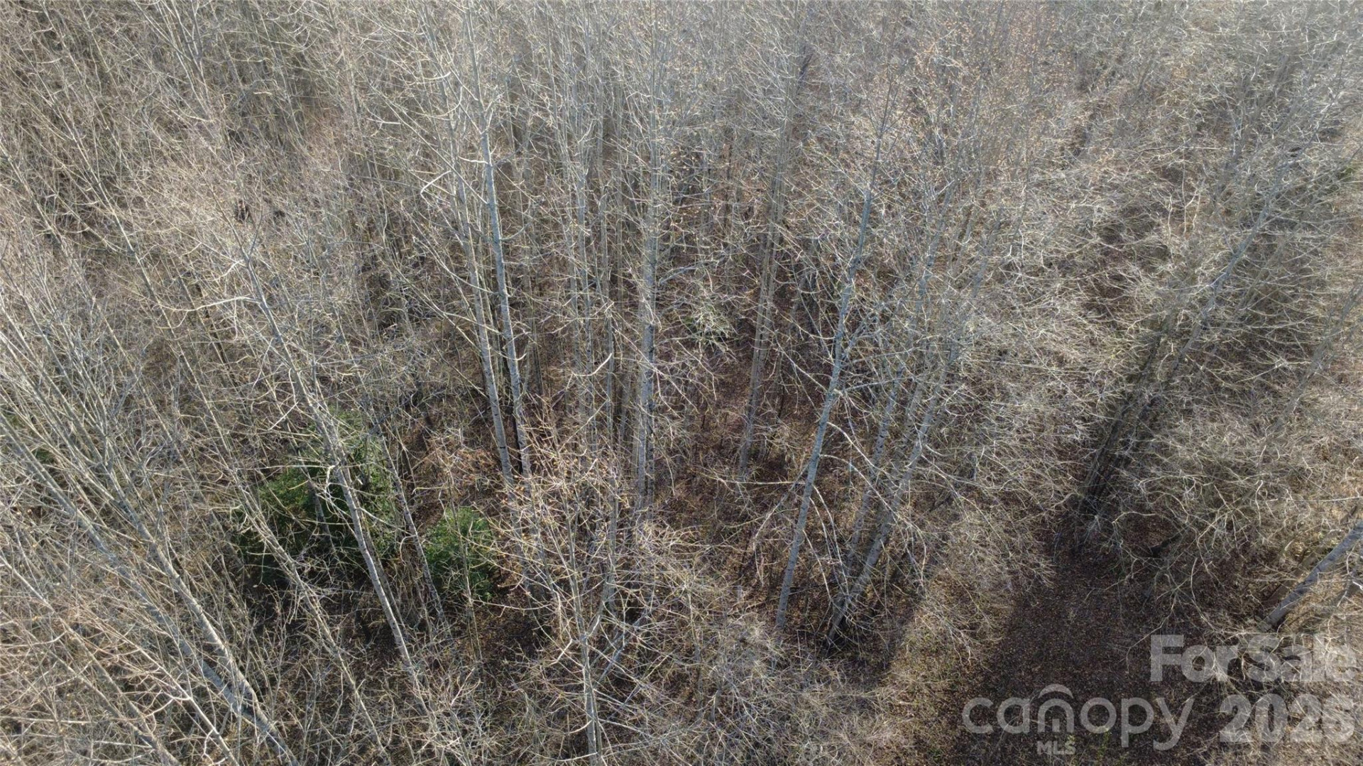 Lot 23 & 24 Double Eagle Drive #23 & 24 - Photo 23