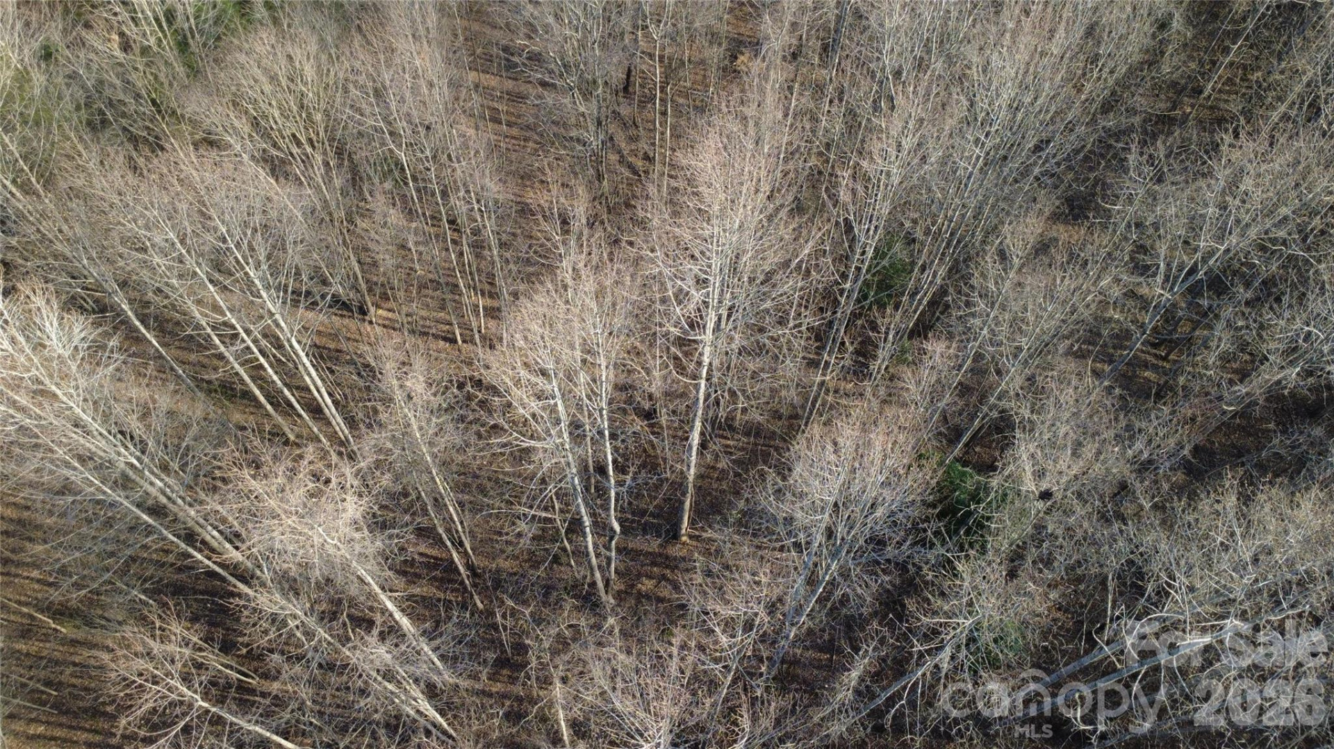 Lot 23 & 24 Double Eagle Drive #23 & 24 - Photo 24