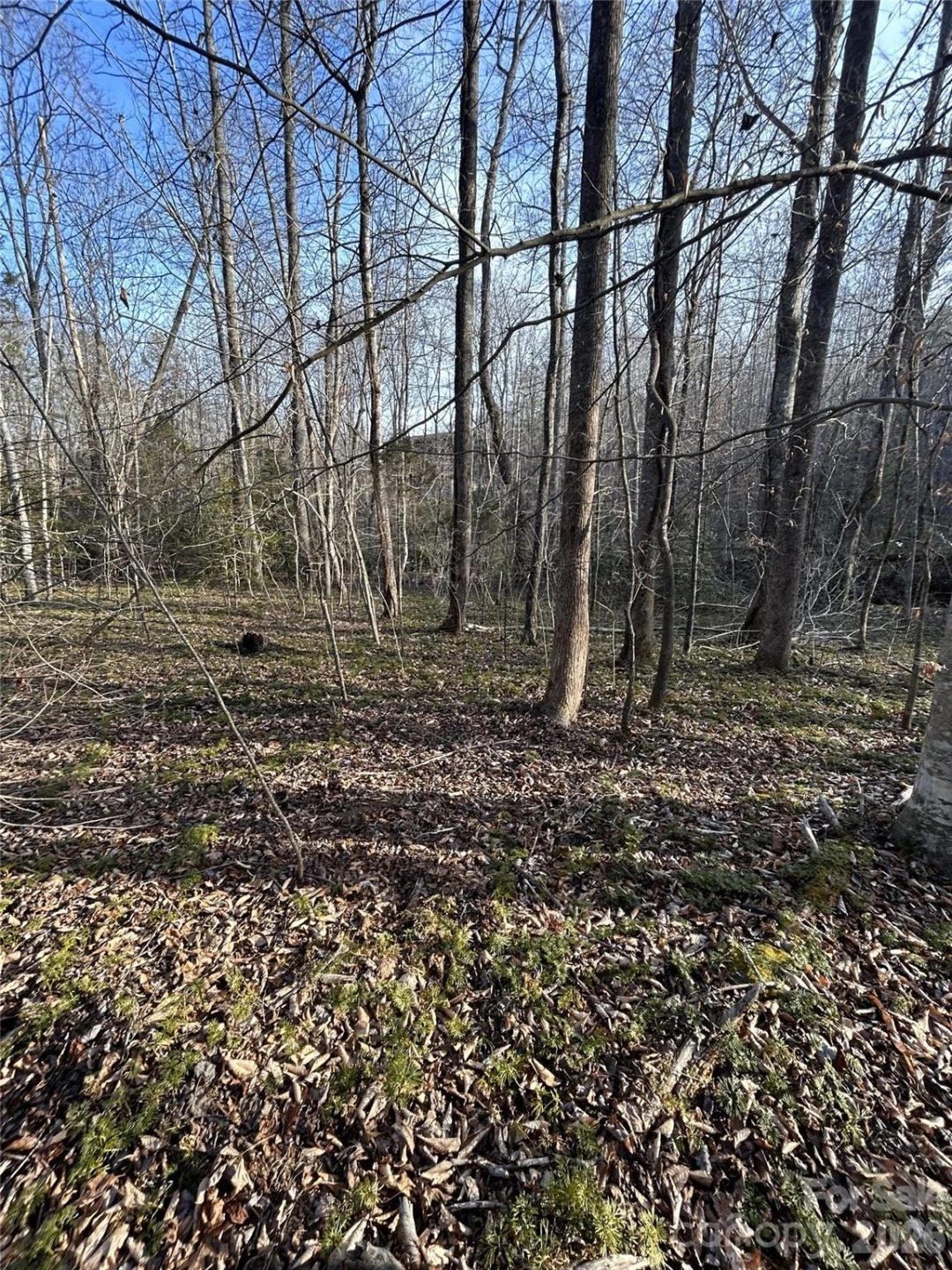 Lot 23 & 24 Double Eagle Drive #23 & 24 - Photo 37