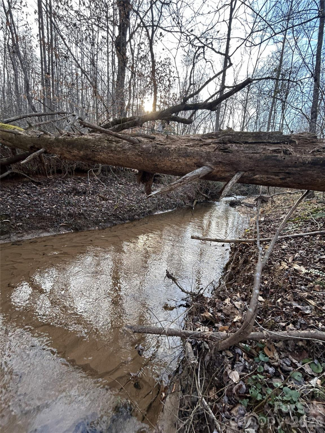 Lot 23 & 24 Double Eagle Drive #23 & 24 - Photo 38