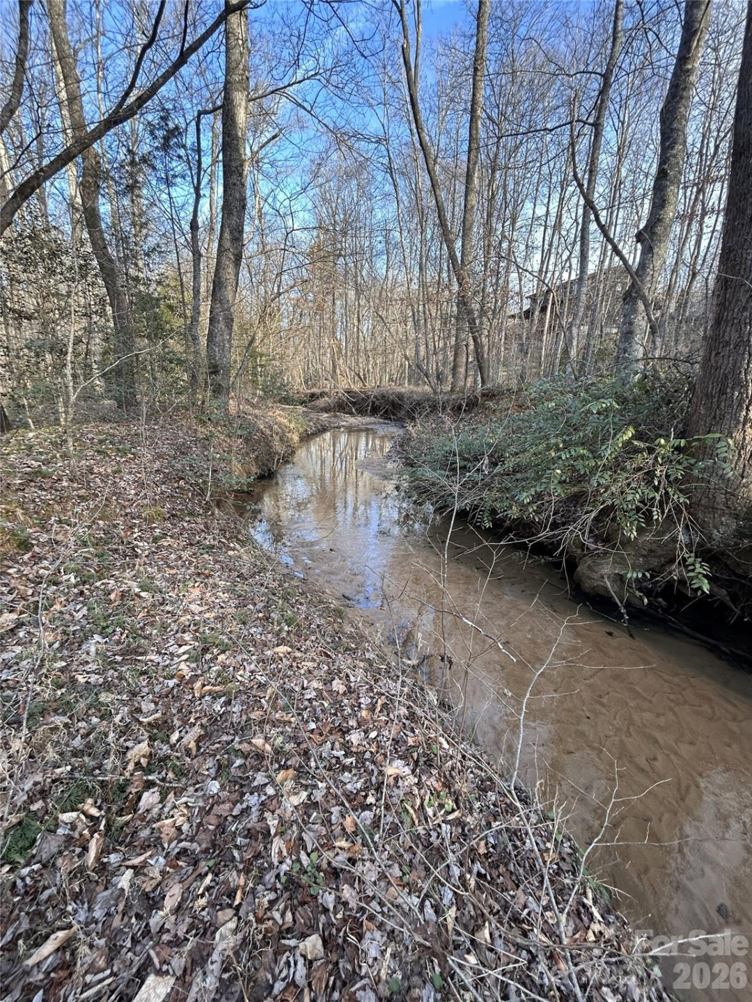 Lot 23 & 24 Double Eagle Drive #23 & 24 - Photo 5