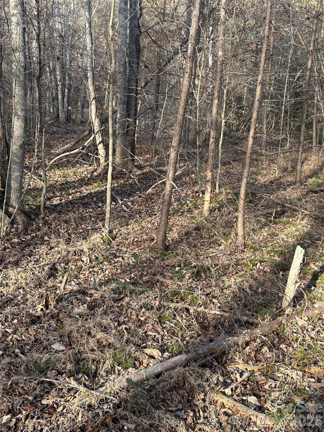 Lot 23 & 24 Double Eagle Drive #23 & 24 - Photo 43