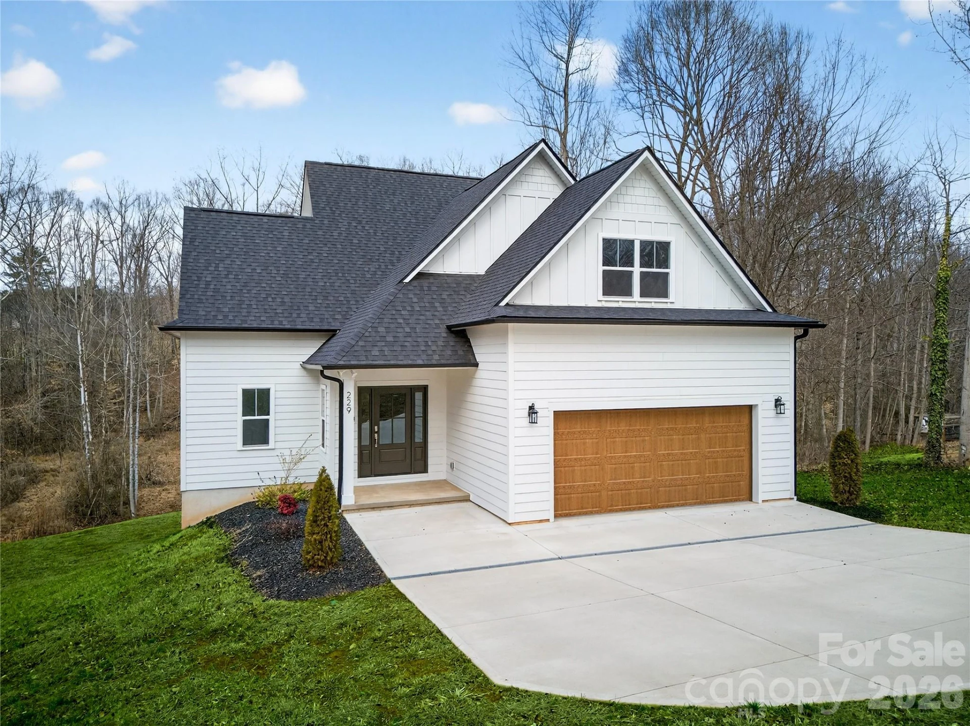 229 Shenandoah Loop - Photo 2