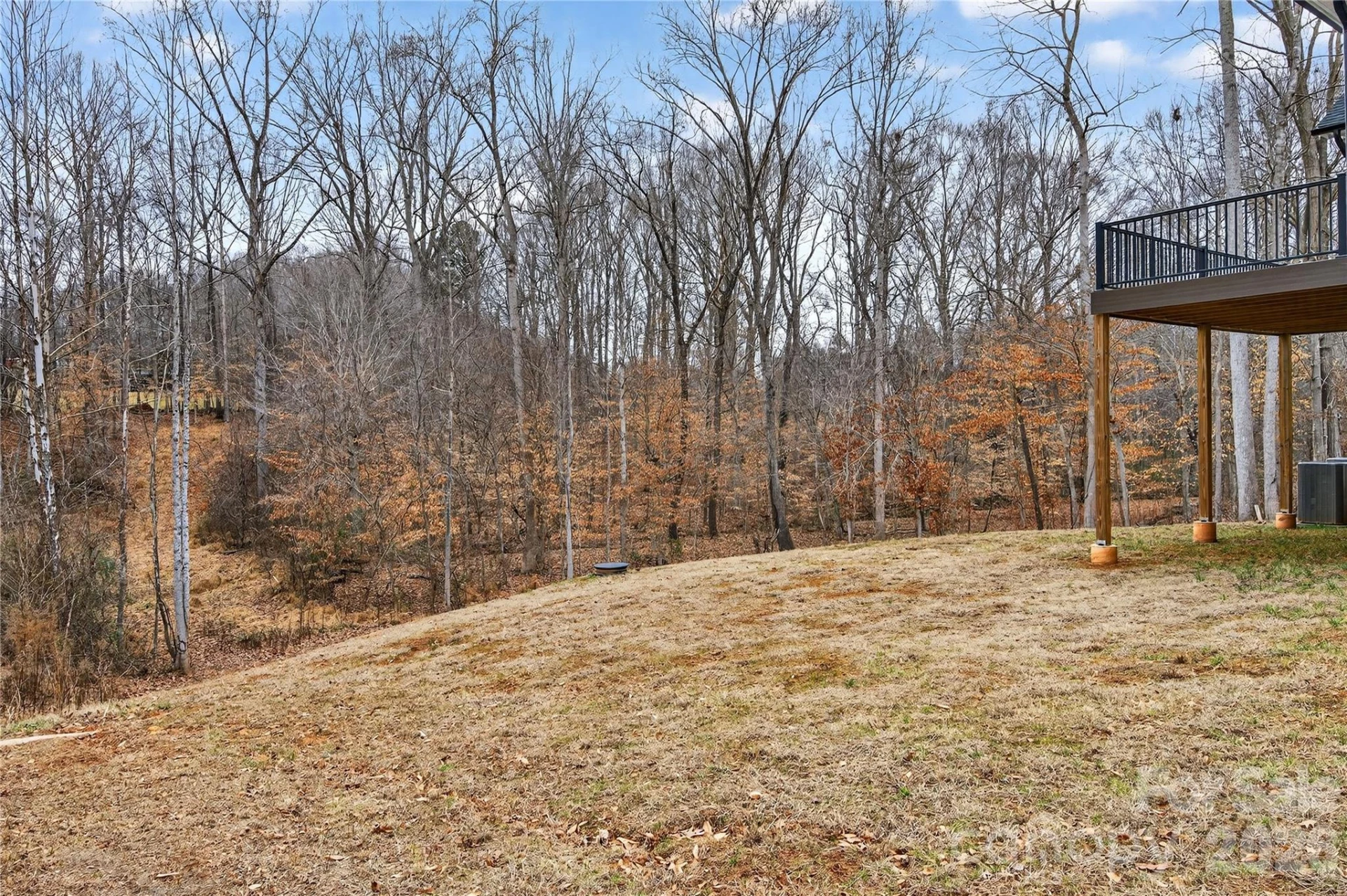 229 Shenandoah Loop - Photo 11