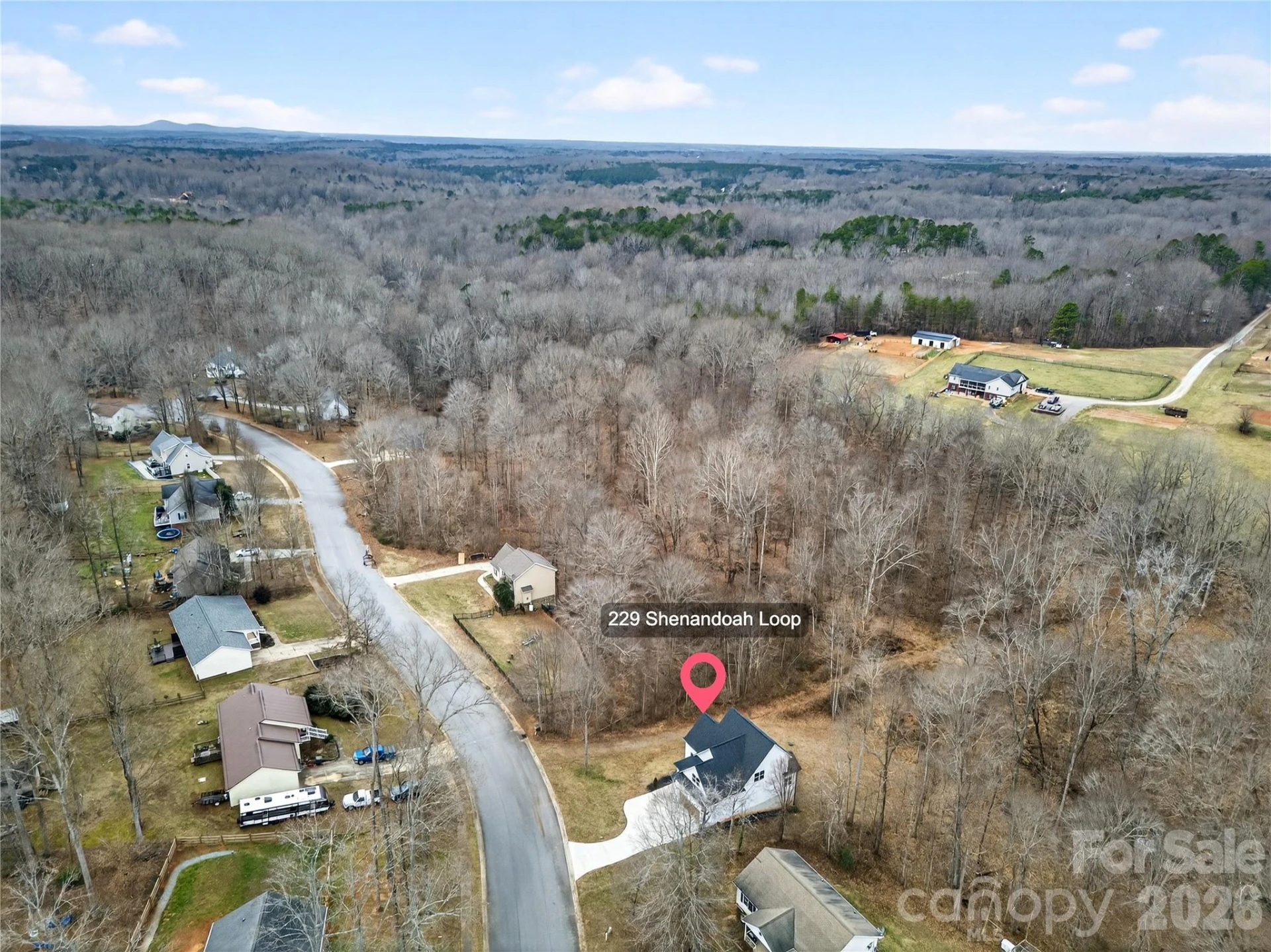 229 Shenandoah Loop - Photo 19