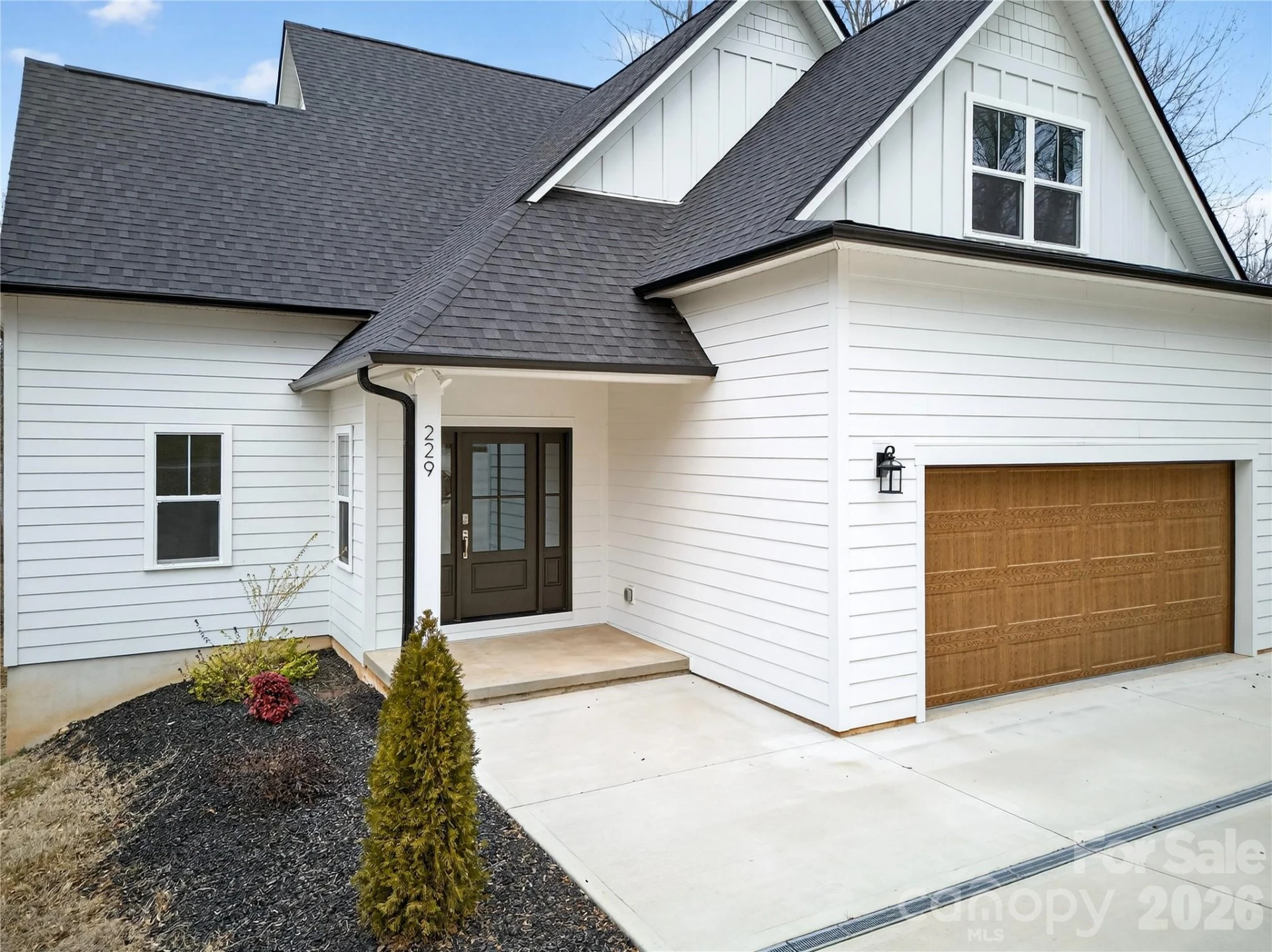 229 Shenandoah Loop - Photo 4