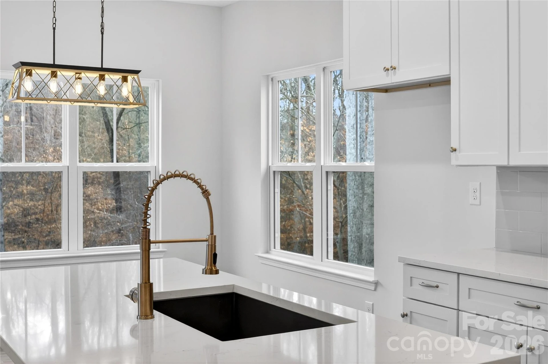229 Shenandoah Loop - Photo 31