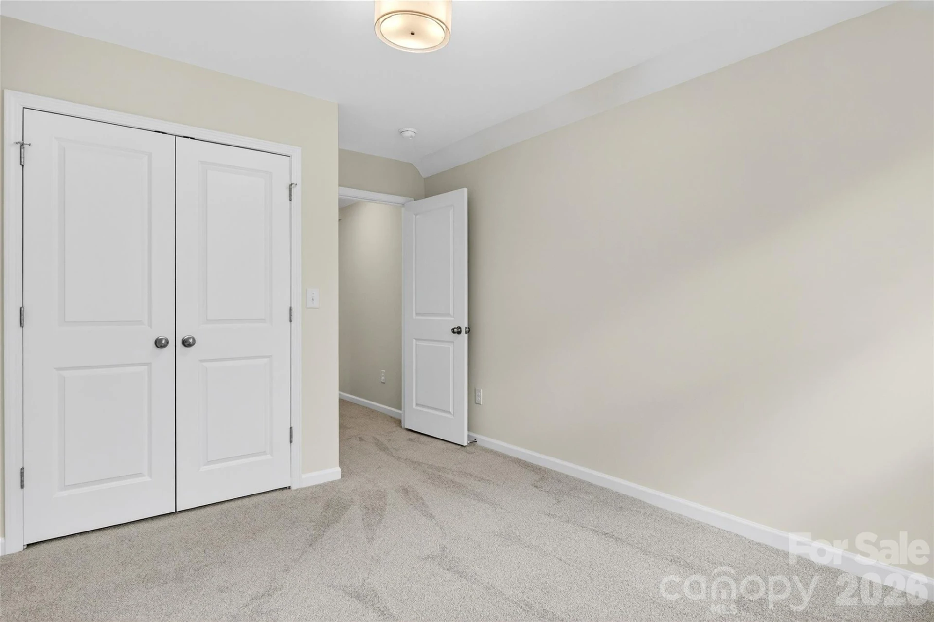 229 Shenandoah Loop - Photo 44