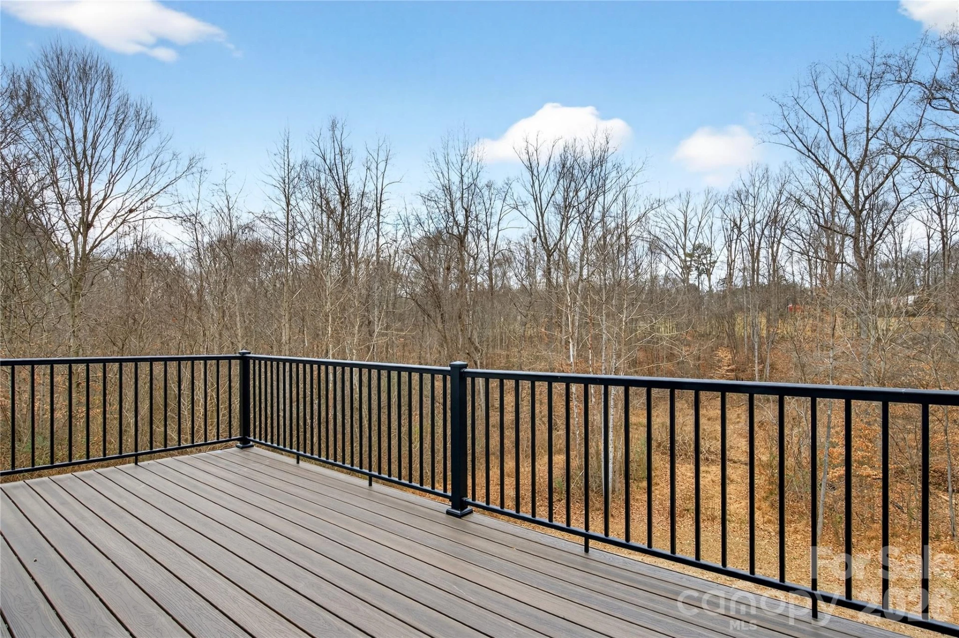 229 Shenandoah Loop - Photo 8