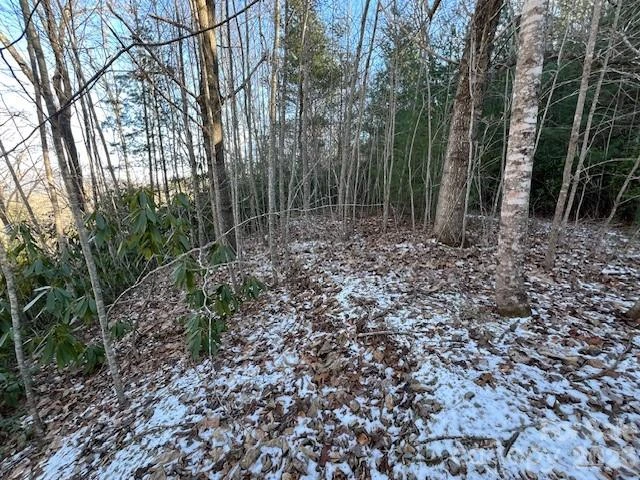 621 Round Top Road - Photo 12