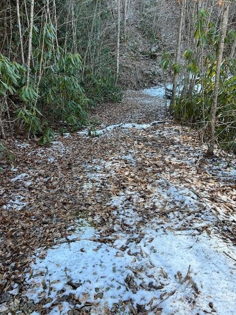 621 Round Top Road - Photo 5