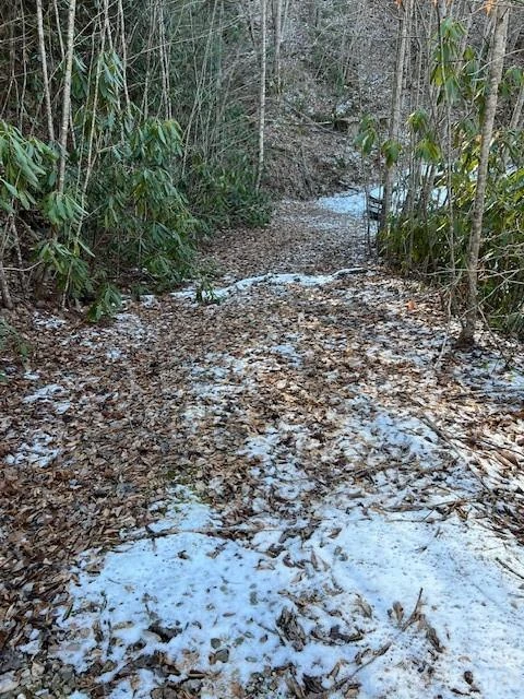 621 Round Top Road - Photo 5
