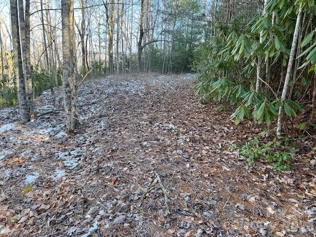 621 Round Top Road - Photo 6