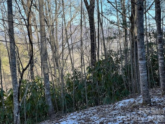 621 Round Top Road - Photo 7