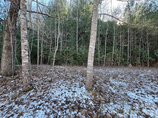 621 Round Top Road - Photo 10